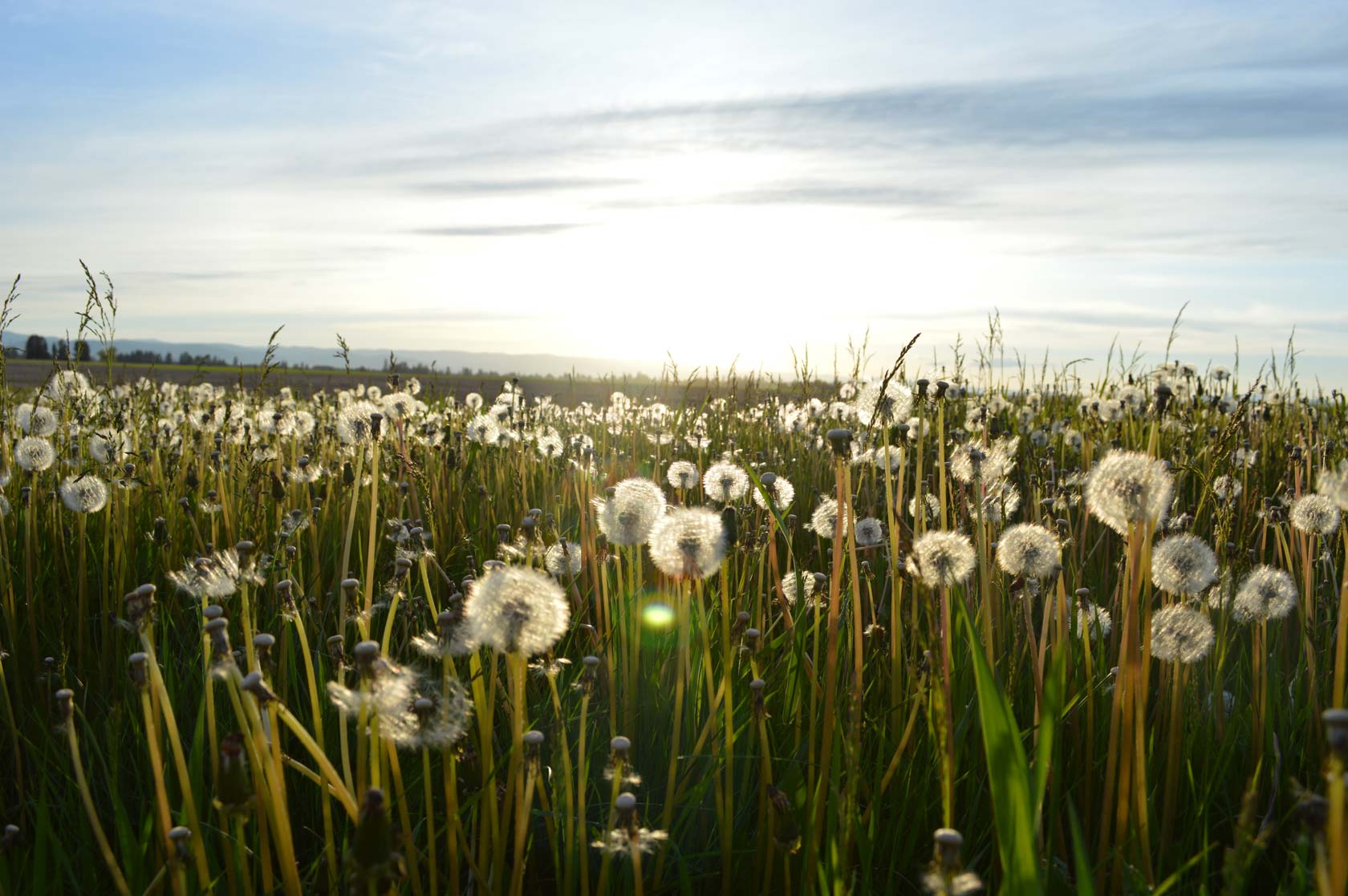 ecoClean_bg_02-banner